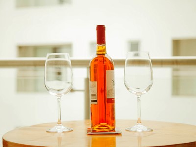 Bar y Discoteca - Santa Sofía Hotel - Puerto Salgar, Cundinamarca - image - 3