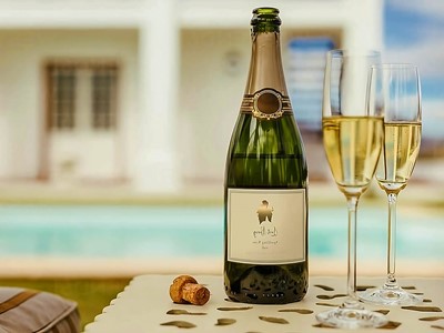 Planes Románticos - Santa Sofía Hotel - Puerto Salgar, Cundinamarca - image - 7